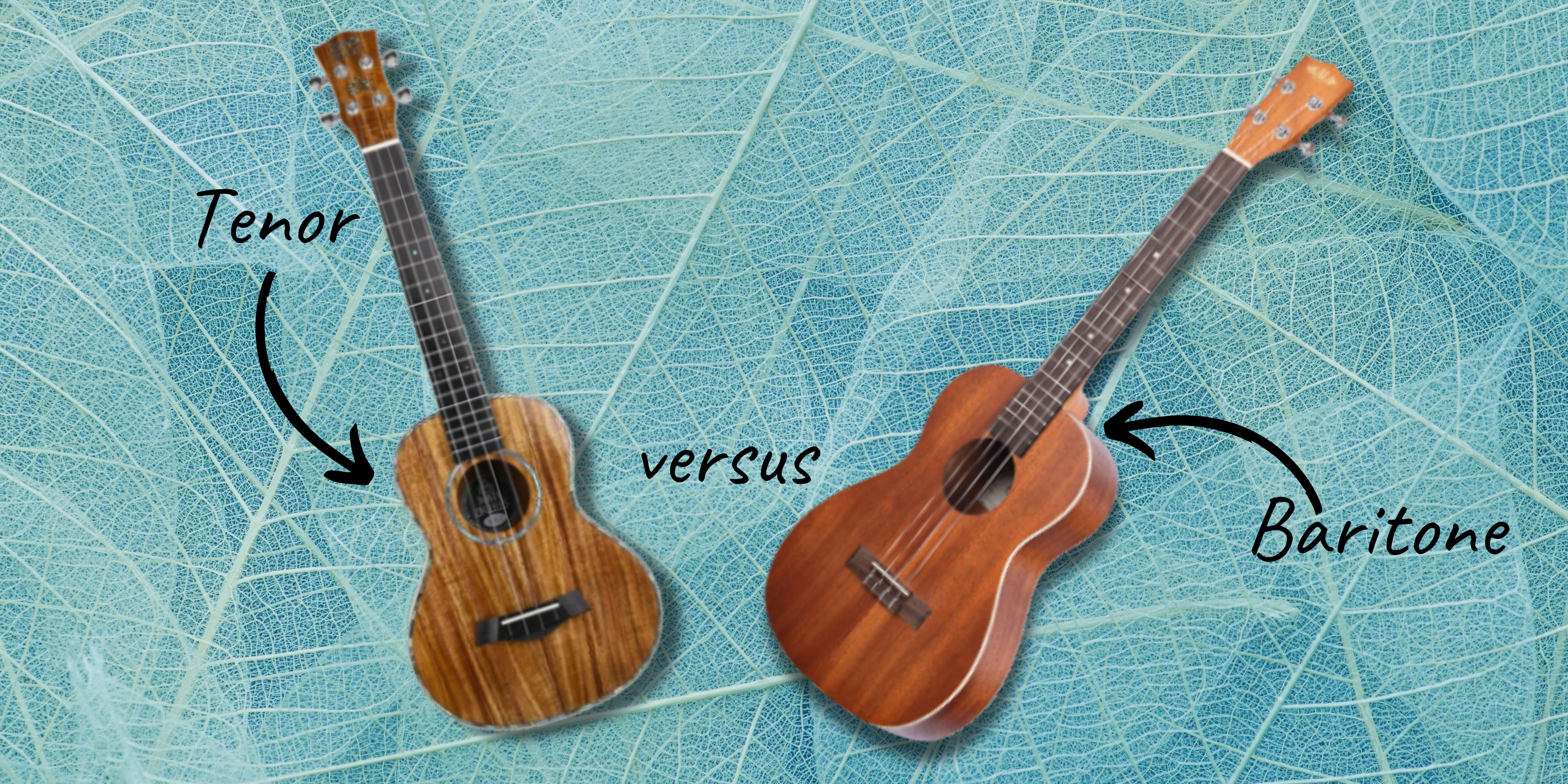 What's the Difference Between Concert and Soprano Ukulele?