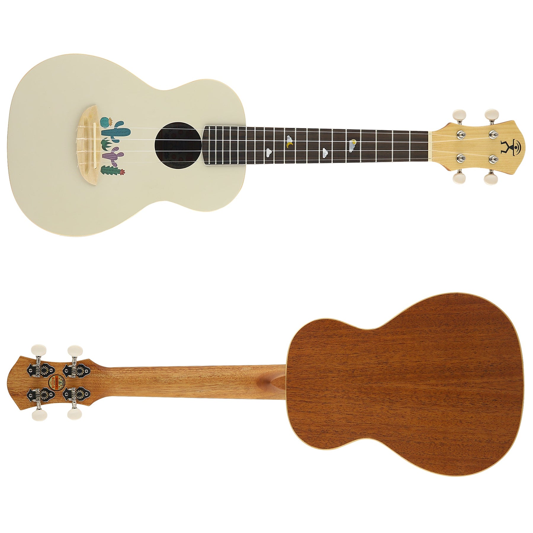Artist series Ariel's Cactus Solid Spruce top Conce