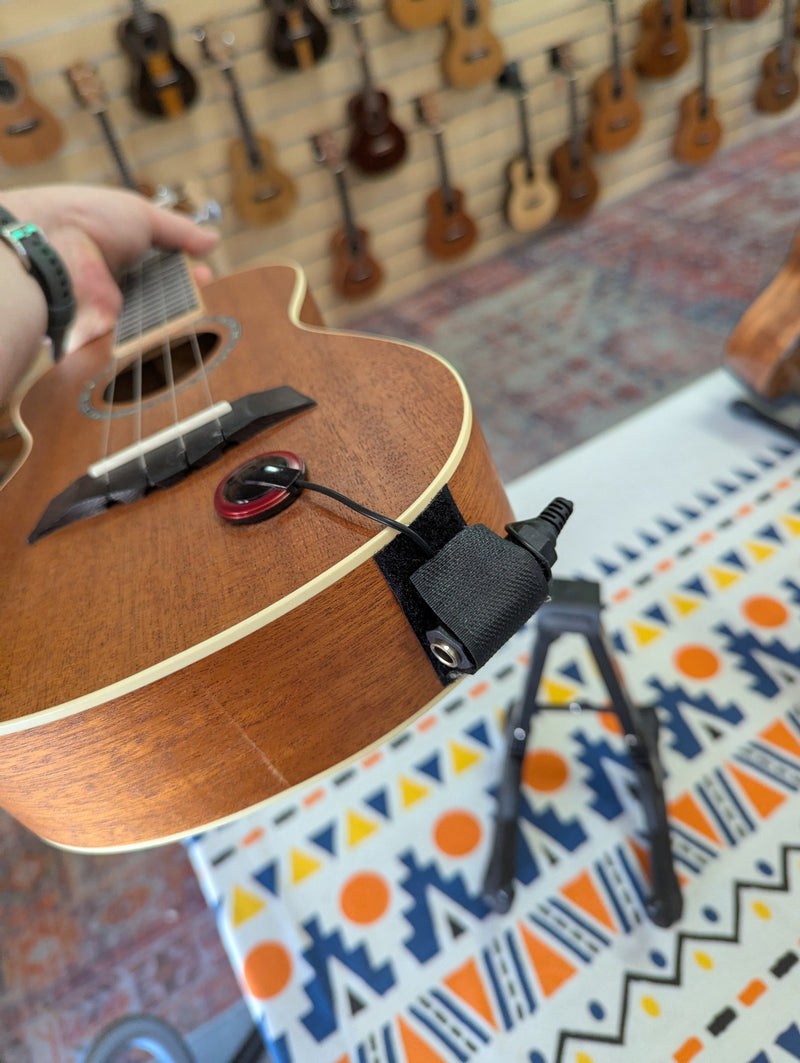 Bondi Arcadia Mahogany Concert Uke + Piezo Pickup